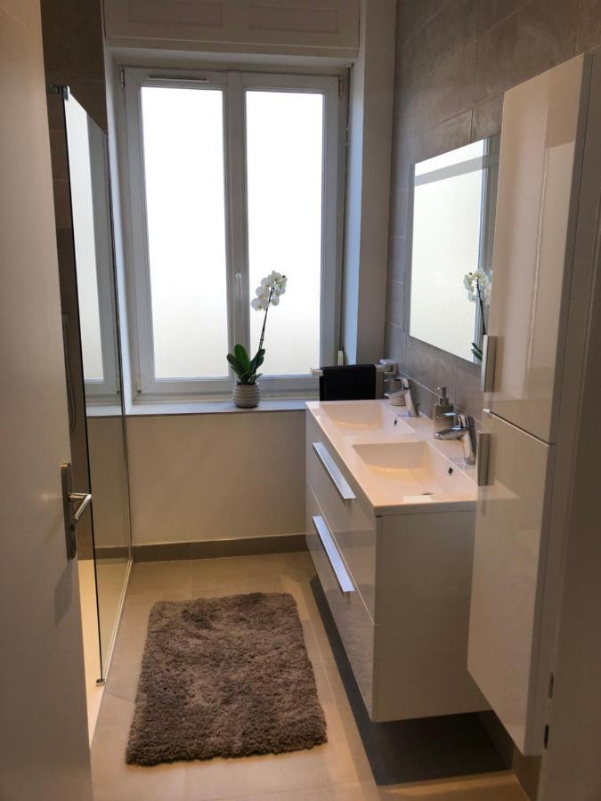 Appartement De Prestige Au Centre Climatise Avec Jardin Prive Colmar Eksteriør bilde