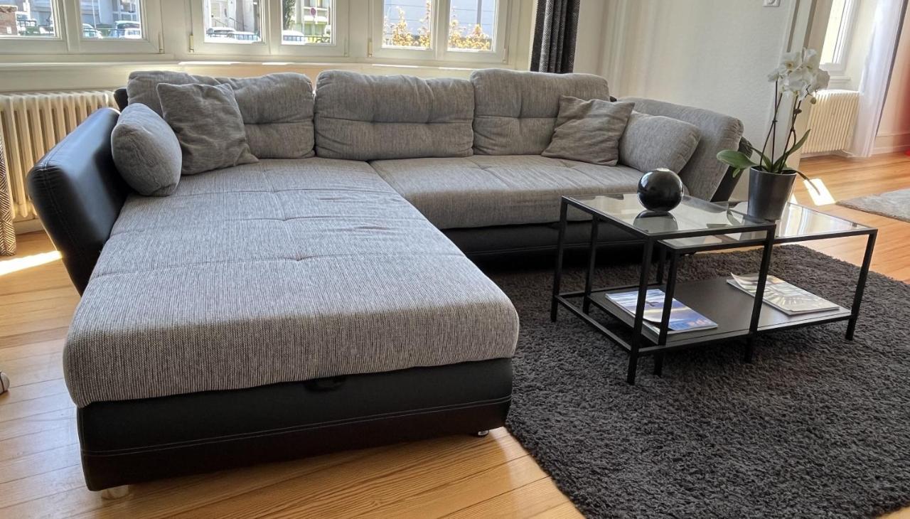 Appartement De Prestige Au Centre Climatise Avec Jardin Prive Colmar Eksteriør bilde