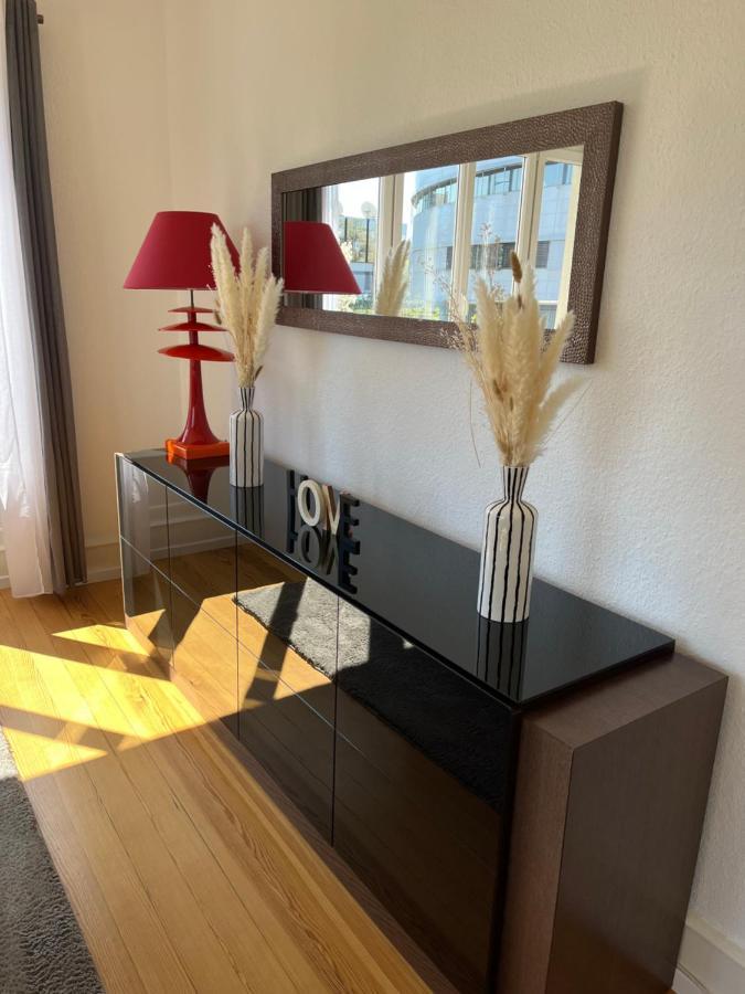 Appartement De Prestige Au Centre Climatise Avec Jardin Prive Colmar Eksteriør bilde