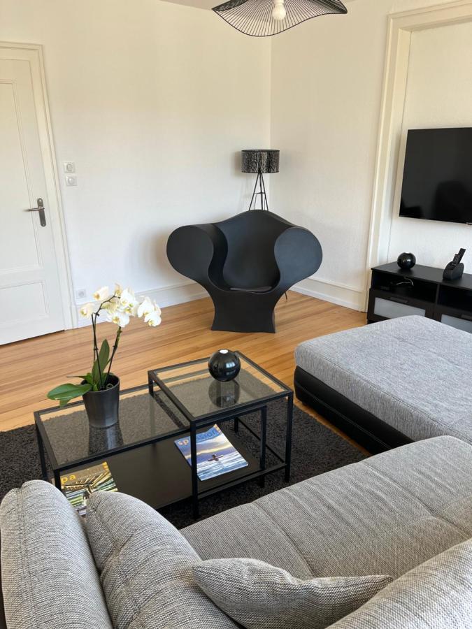 Appartement De Prestige Au Centre Climatise Avec Jardin Prive Colmar Eksteriør bilde