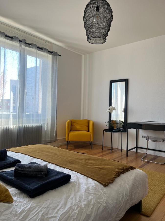 Appartement De Prestige Au Centre Climatise Avec Jardin Prive Colmar Eksteriør bilde