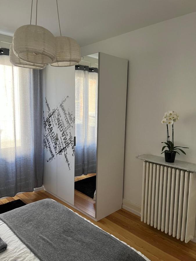 Appartement De Prestige Au Centre Climatise Avec Jardin Prive Colmar Eksteriør bilde