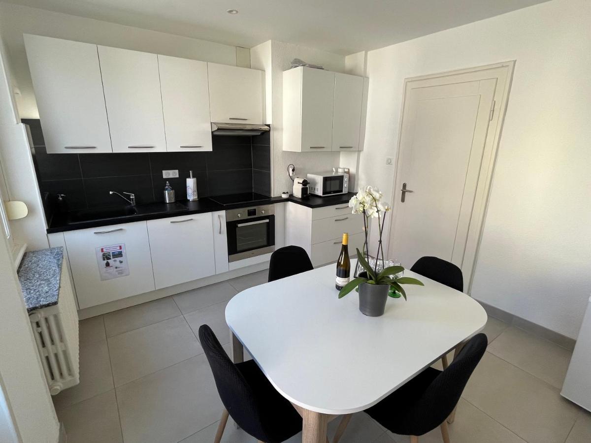 Appartement De Prestige Au Centre Climatise Avec Jardin Prive Colmar Eksteriør bilde