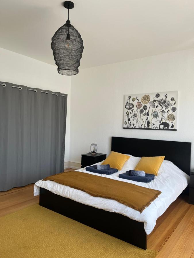 Appartement De Prestige Au Centre Climatise Avec Jardin Prive Colmar Eksteriør bilde