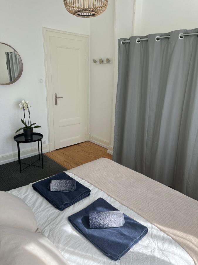 Appartement De Prestige Au Centre Climatise Avec Jardin Prive Colmar Eksteriør bilde