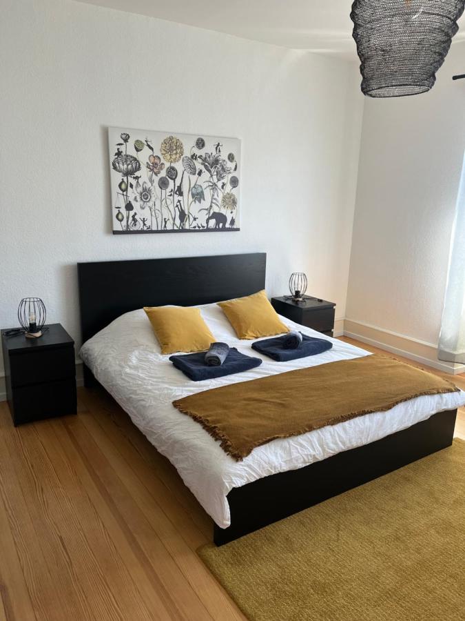 Appartement De Prestige Au Centre Climatise Avec Jardin Prive Colmar Eksteriør bilde
