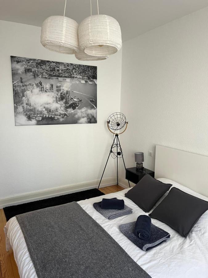 Appartement De Prestige Au Centre Climatise Avec Jardin Prive Colmar Eksteriør bilde